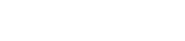 Logo - Academia NeritPolítica
